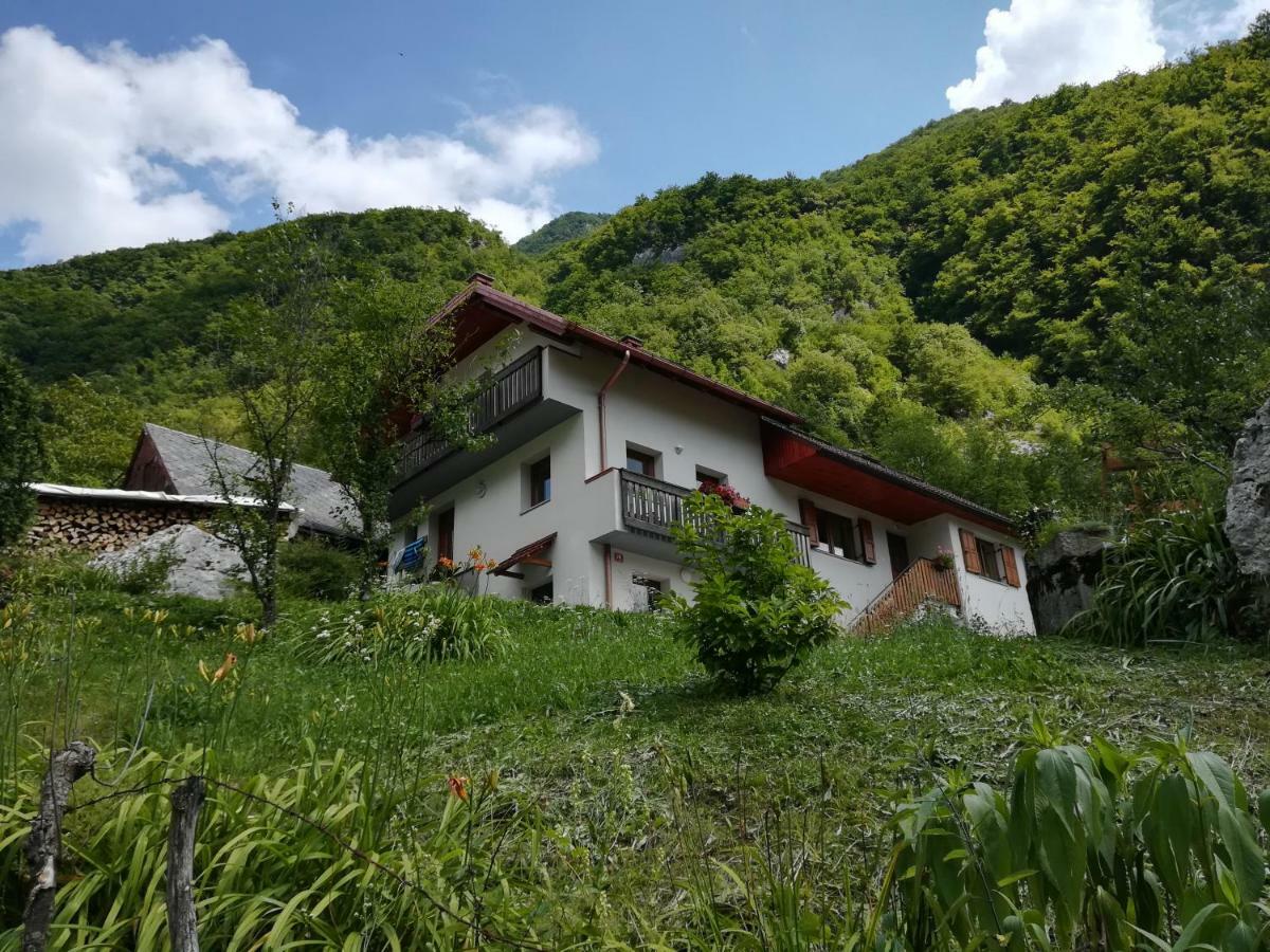 Apartma Ana Ida Srpenica Exteriér fotografie